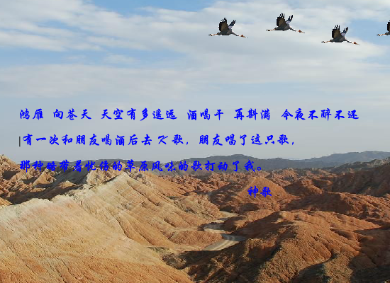 鸿雁（czchina） 截图 3/8