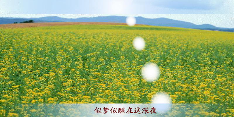 游鸿明 爱一回伤一回（未知） 截图 3/8