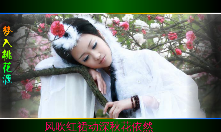 梦入桃花源（QQ692661407） 截图 8/8
