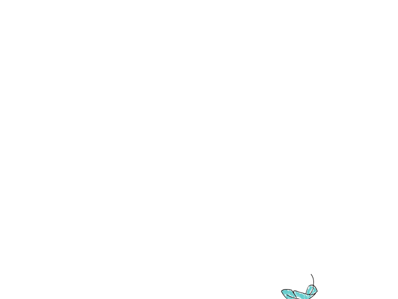 Fly （飞翔）（刘春晓） 截图 3/6