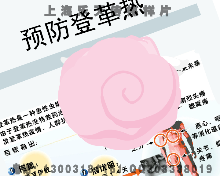 上海flash制作，上海动画制作，上海动画制作工作室。（乐天传媒） 截图 1/8