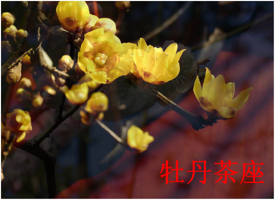 贺卡：梅花（1798） 截图 1/8