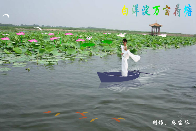白洋淀万亩荷塘（麻宝苍） 截图 2/8