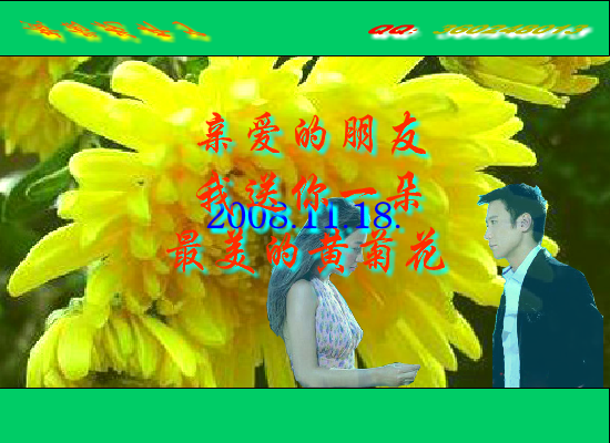 黄菊花开了（Blue） 截图 8/8