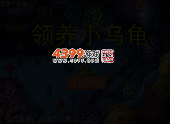 我的小乌龟 截图 4/5
