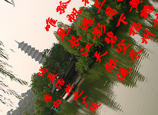 放飞网络（边达） 截图 3/8