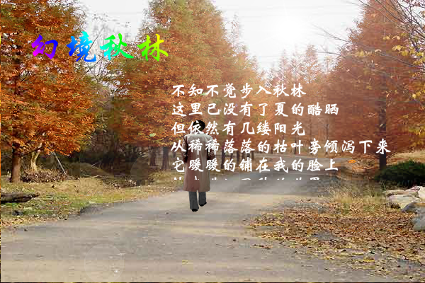 幻境秋林（yriql） 截图 7/7