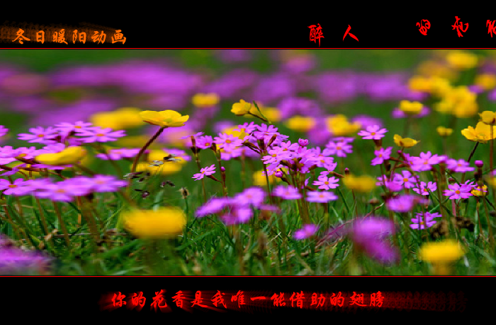 醉人的花香（wxm671022） 截图 1/8