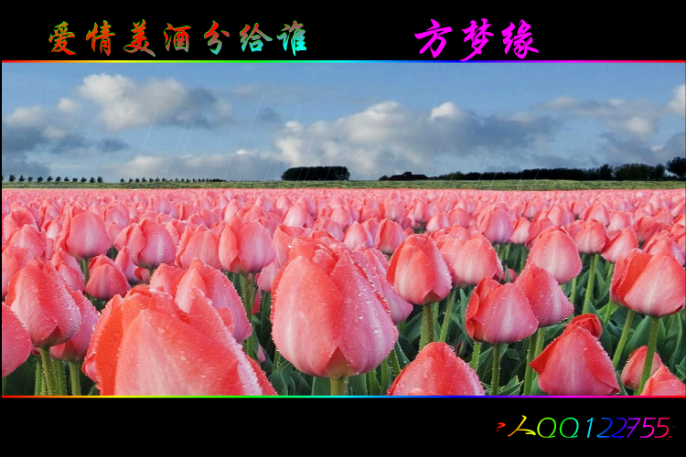 爱情美酒分给谁 截图 4
