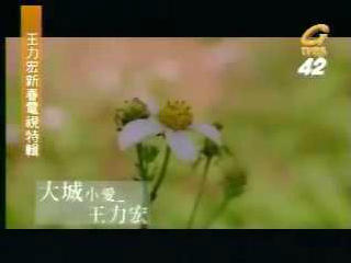 大城小爱 截图 2