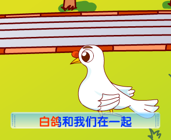 白鸽（pxy） 截图 6/8