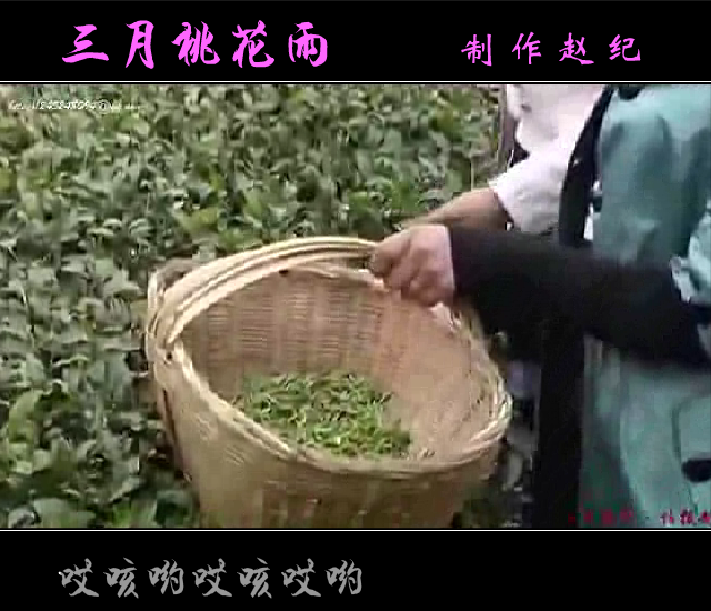 三月桃花雨（赵纪） 截图 7/8