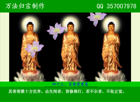 阿弥陀佛四十八大愿（万法归宗） 截图 6/8