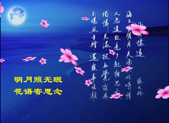中秋（广泛AS） 截图 8/8