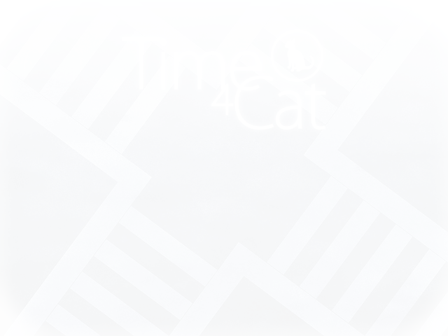 猫仔时间 截图 1/4