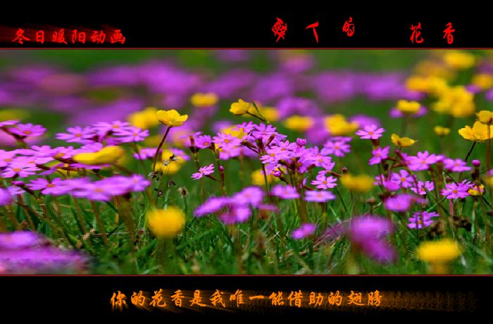 醉人的花香（wxm671022） 截图 3/8