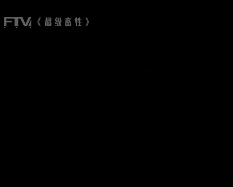 超级畜牲2006才艺大赛——海选（kingsky互动内容制作基地） 截图 1/8