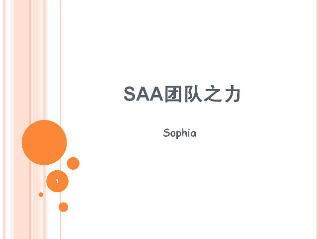 SAA团队述职 截图 1