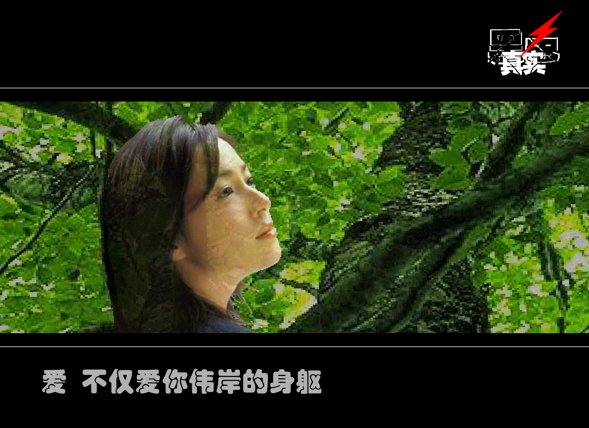 致橡树舒婷（黑色真实） 截图 2/8