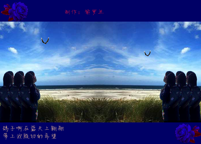 飞吧鸽子（紫罗兰） 截图 8/8
