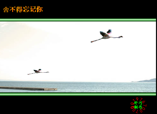 舍不得忘记你（好巧） 截图 1/8