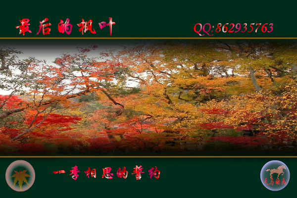 最后的枫叶（maxc） 截图 7/8
