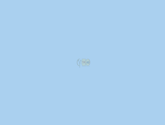 给女友送花 截图 5/8