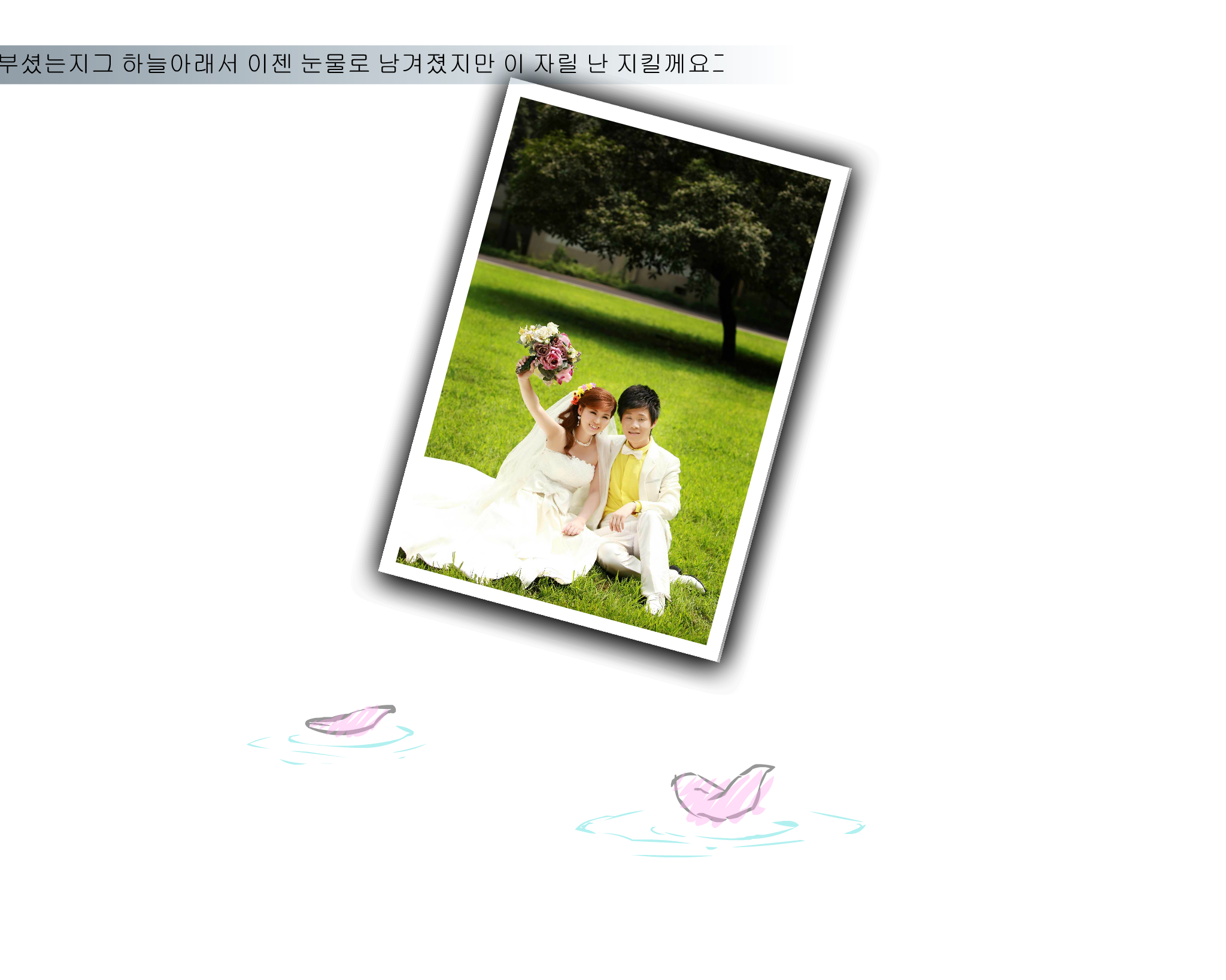 婚庆作品（张爱洪） 截图 5/8