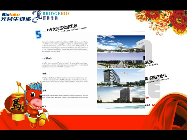 百桥马年贺年卡（Yang） 截图 2/8