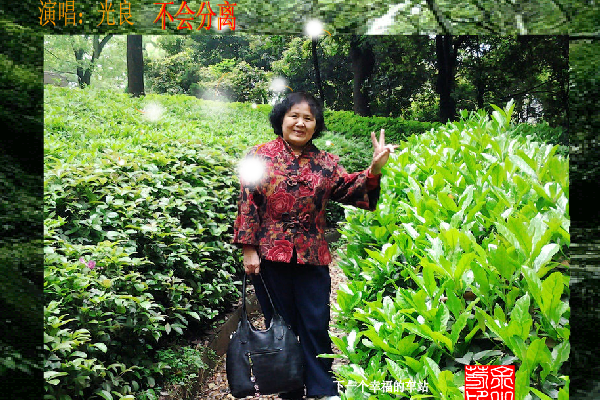 不会分离（sz_yxf） 截图 6/8
