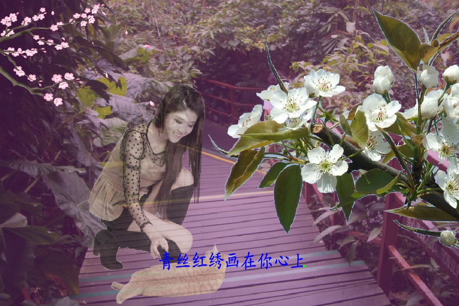 梨花情（钟华锦绣） 截图 7/8