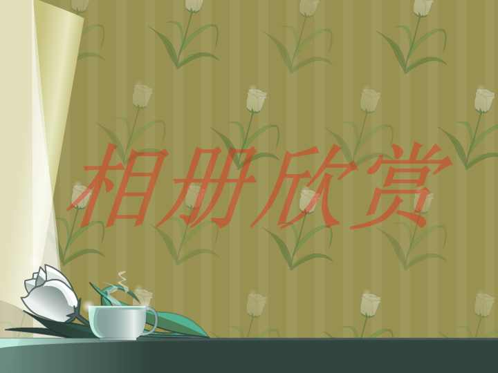 flash习作 截图 1