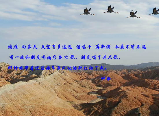 鸿雁（czchina） 截图 1/8