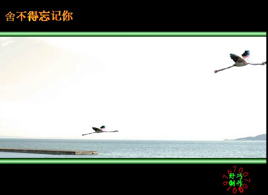 舍不得忘记你（好巧） 截图 4/8