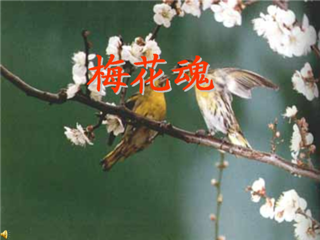 小学五年级上册《梅花魂》 截图 1