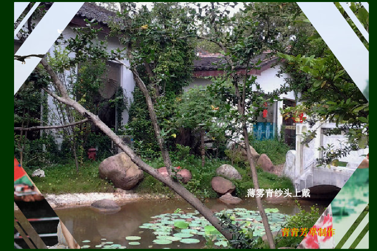荷花颂（sz_yxf） 截图 7/8