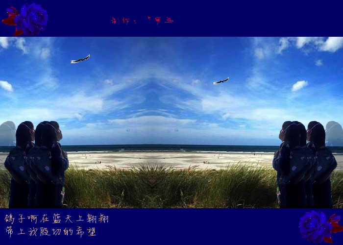 飞吧鸽子（紫罗兰） 截图 5/8