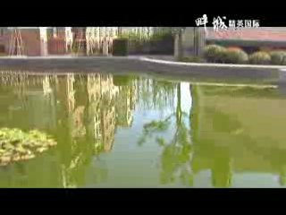 精英国际（yusmallfish） 截图 6/8