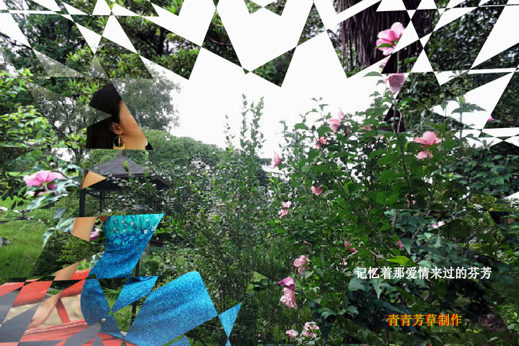 木槿花（sz_yxf） 截图 2/8