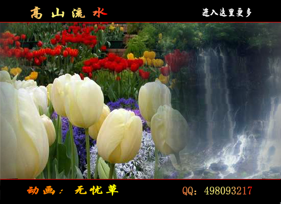 高山流水（无忧草） 截图 4/8