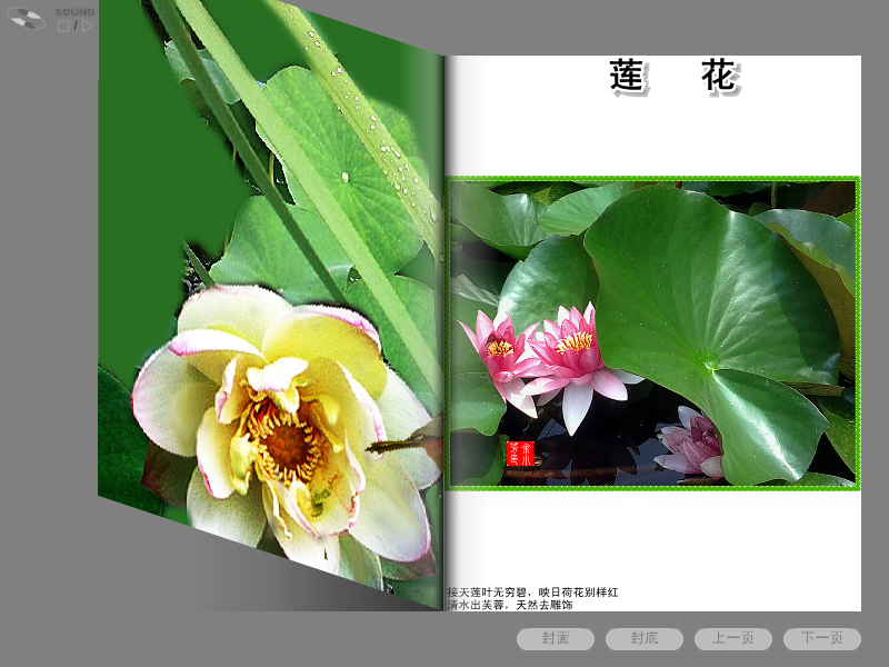莲花相册（sz_yxf） 截图 4/5