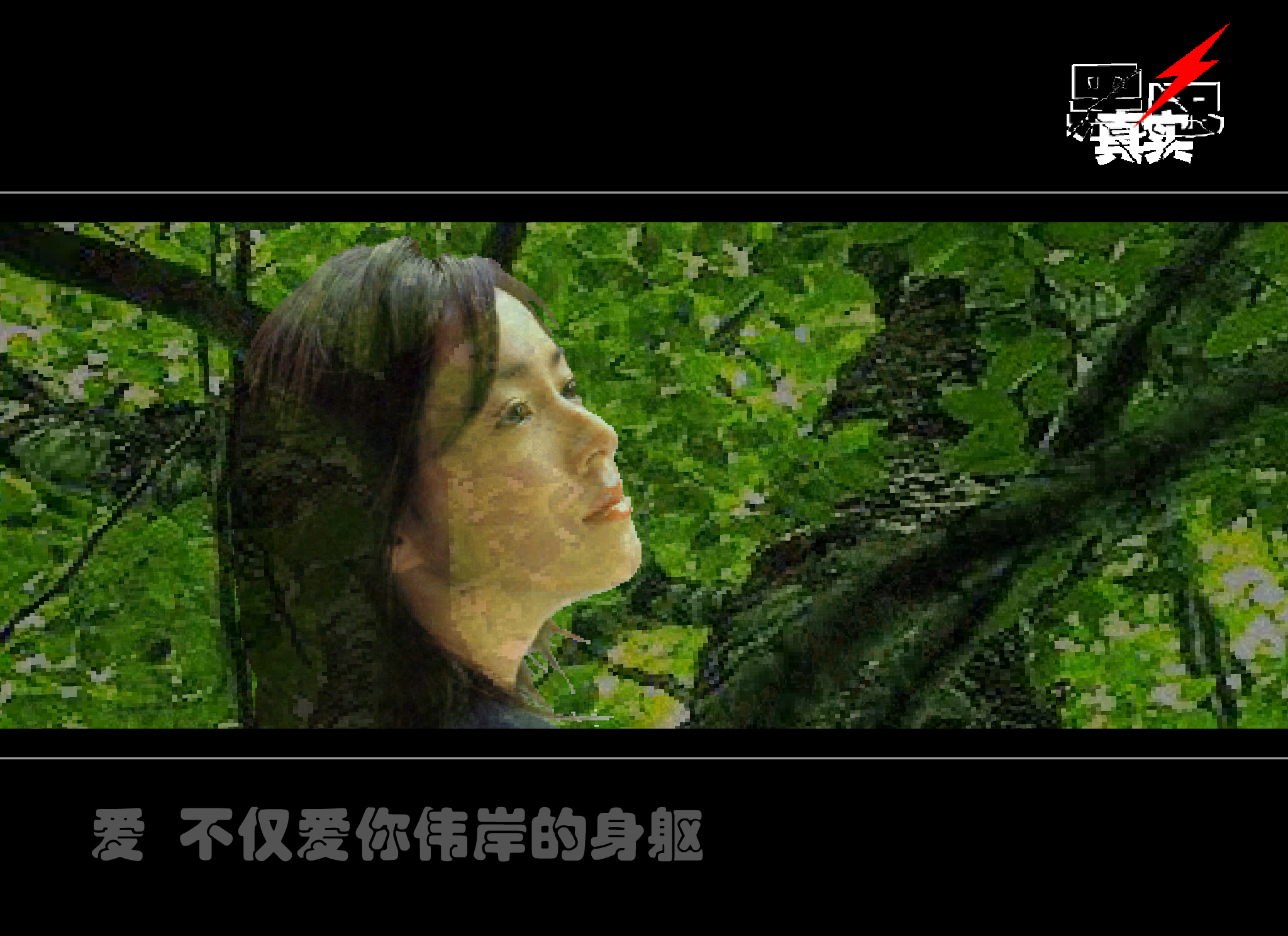 致橡树舒婷（黑色真实） 截图 1/8