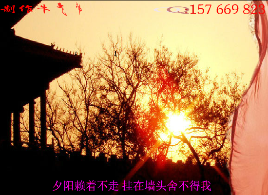 逍遥叹（本人） 截图 4/8