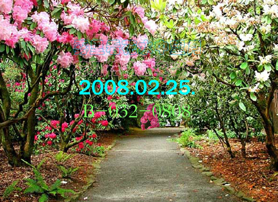 雾里看花（Blue） 截图 2/8