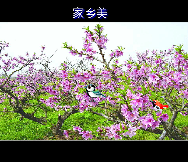 家乡美（赵纪） 截图 2/2
