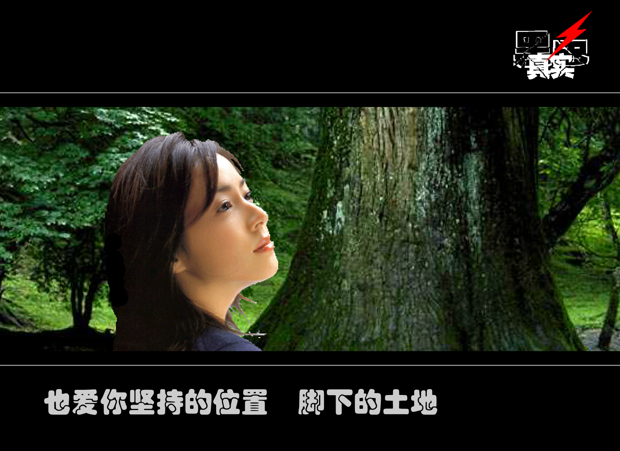 致橡树舒婷（黑色真实） 截图 8/8