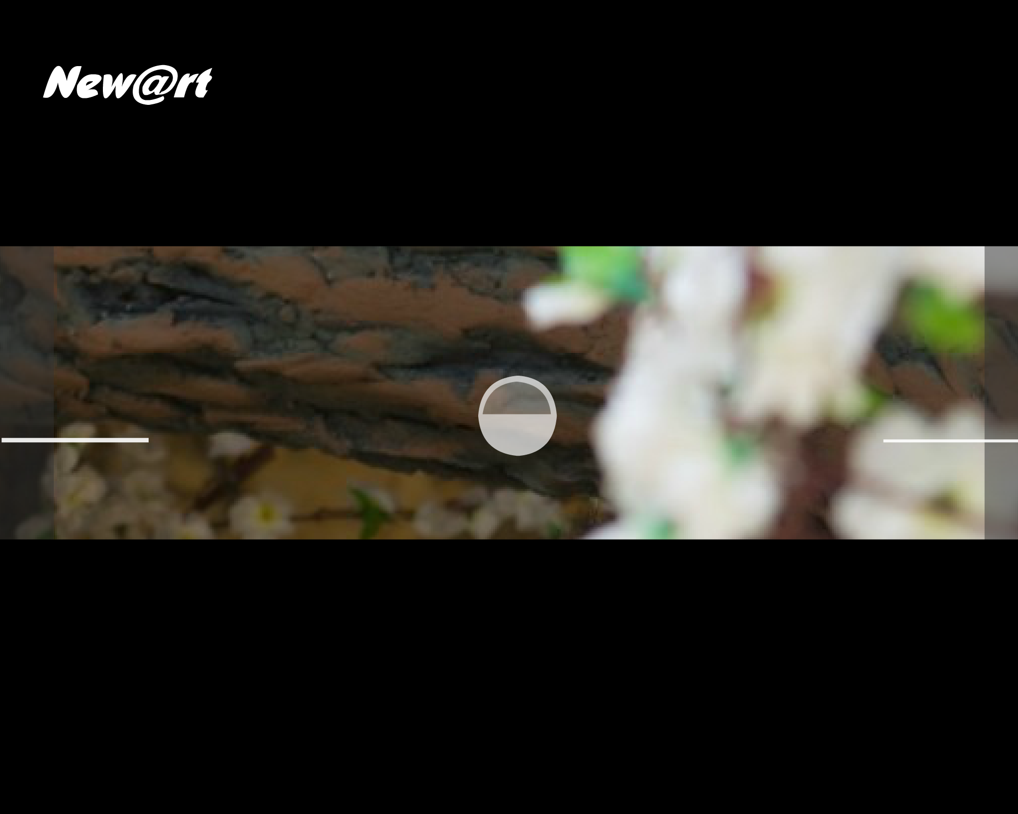 私人照（w55123521） 截图 8/8