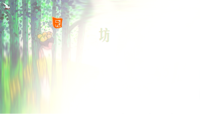 影楼网站片头 截图 2