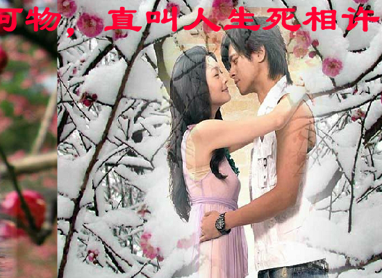 梅花三弄（hustyuyq） 截图 5/8