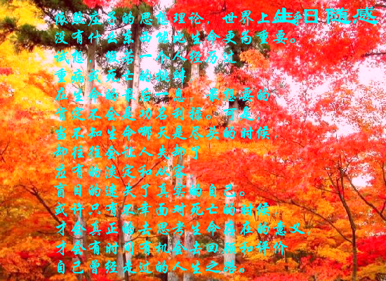 生日随感（Blue） 截图 4/8